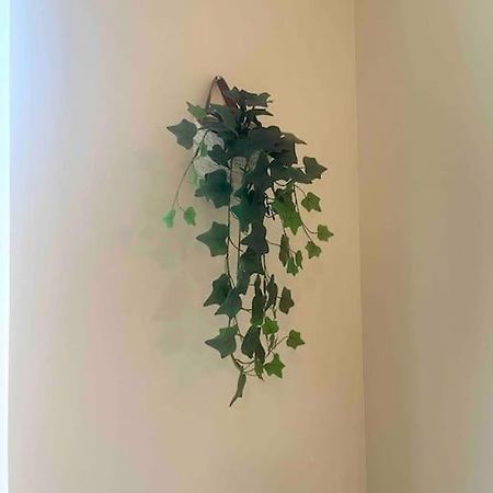 טולון Appartement Noe Centre Ville מראה חיצוני תמונה