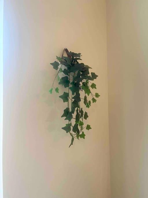 טולון Appartement Noe Centre Ville מראה חיצוני תמונה